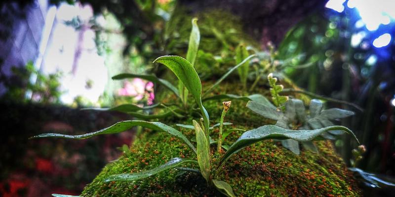 从大连到世界：天舒海外服务中心如何以‘东方养生智慧’点亮‘一带一路’健康版图