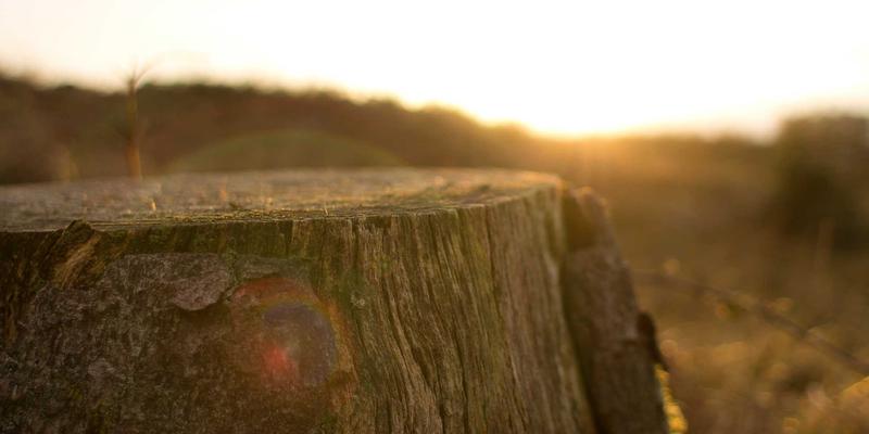 大连天舒供应链优化：从大连制造到全球交付的敏捷响应体系