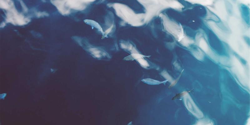 智能康养新体验：大连天舒设备如何重塑康养小镇的SPA与按摩服务